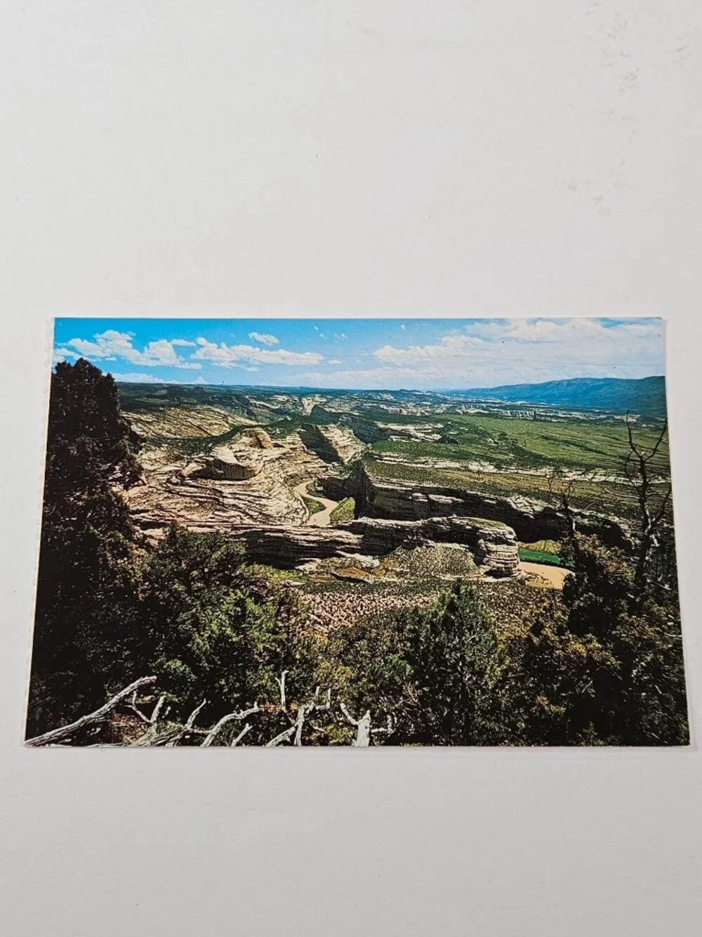 Echo Park from the Harpers Corner Trail Dinosaur National Monument Postcard